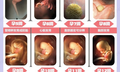 10大功劳泡酒最厉害-功劳泡酒功效作用-专业功劳的功效与作用平台-功劳泡酒功效作用是什么