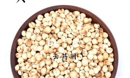 功劳泡酒功效作用-专业功劳的功效与作用平台-功劳泡酒功效作用是什么